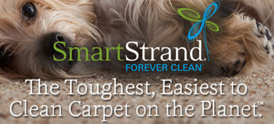 Smart strand20160414 16179 g9ajns