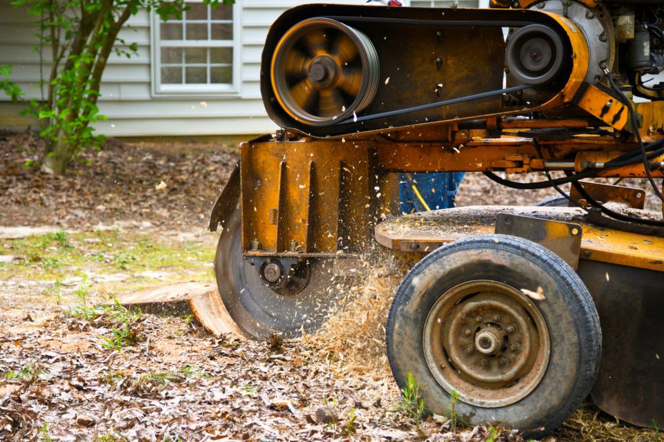 cheap tree stump grinding sacramento