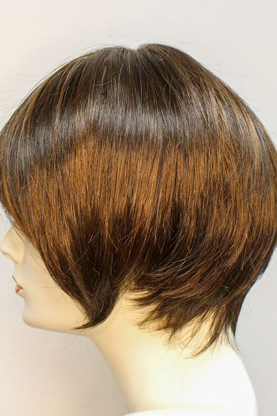 Medium brown pixie bob 4