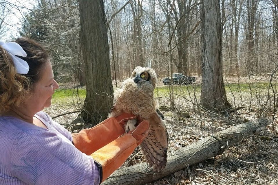 Brandi with a rescue owl