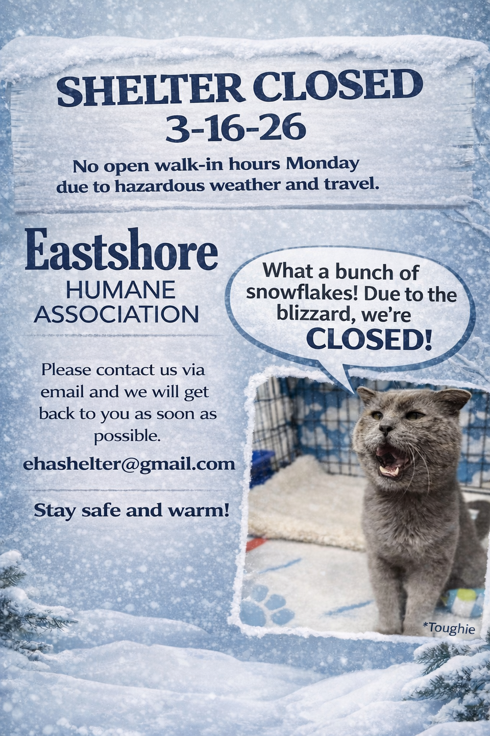 File 00000000d06471f58656881fe32d1e07