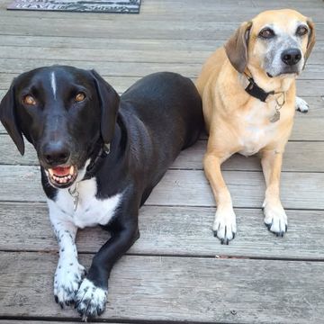 Randy and reid