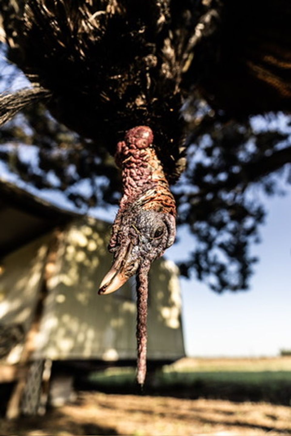 F204c25f 270c 4418 890f 82897700a1a5 4 5005 c