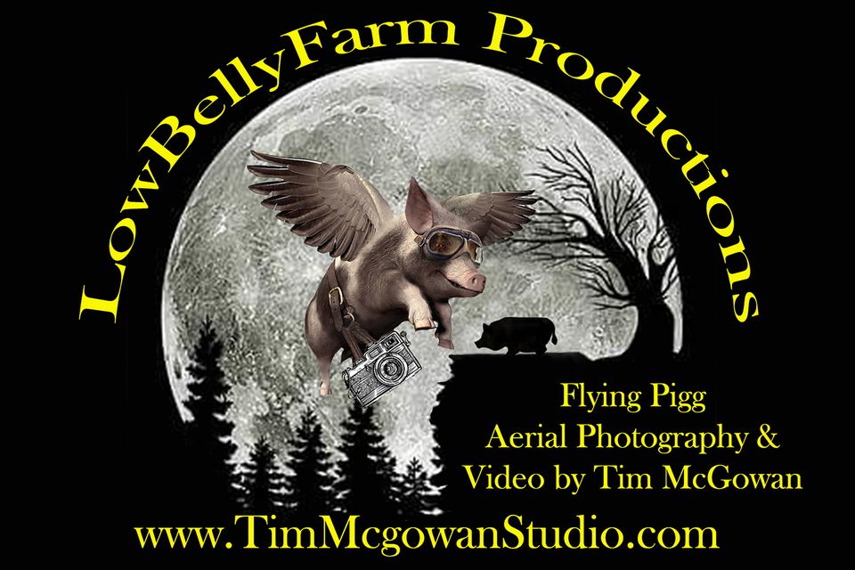 Flying pigg rev 4 shirt aerialwebsite