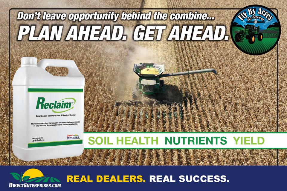 Fly by storyboards 20250823 5