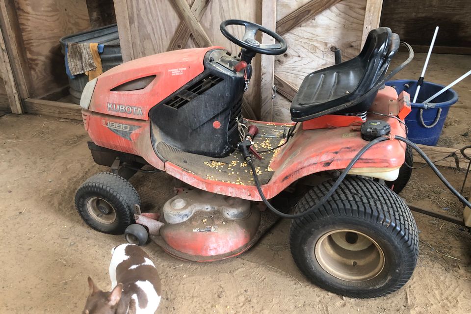 Img 4639