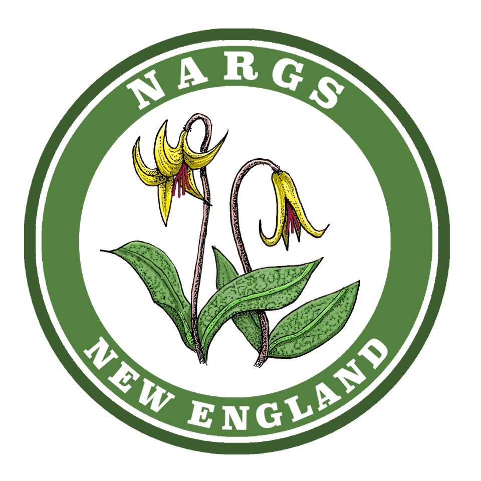 Nargs transparent fullcolor