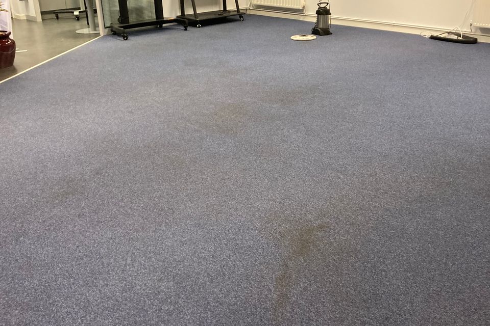 Expert carpet cleaning