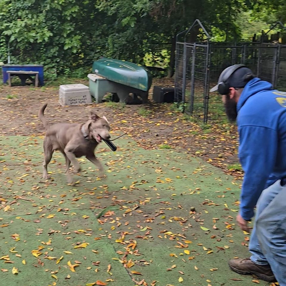 20250924 081312 exported 111157