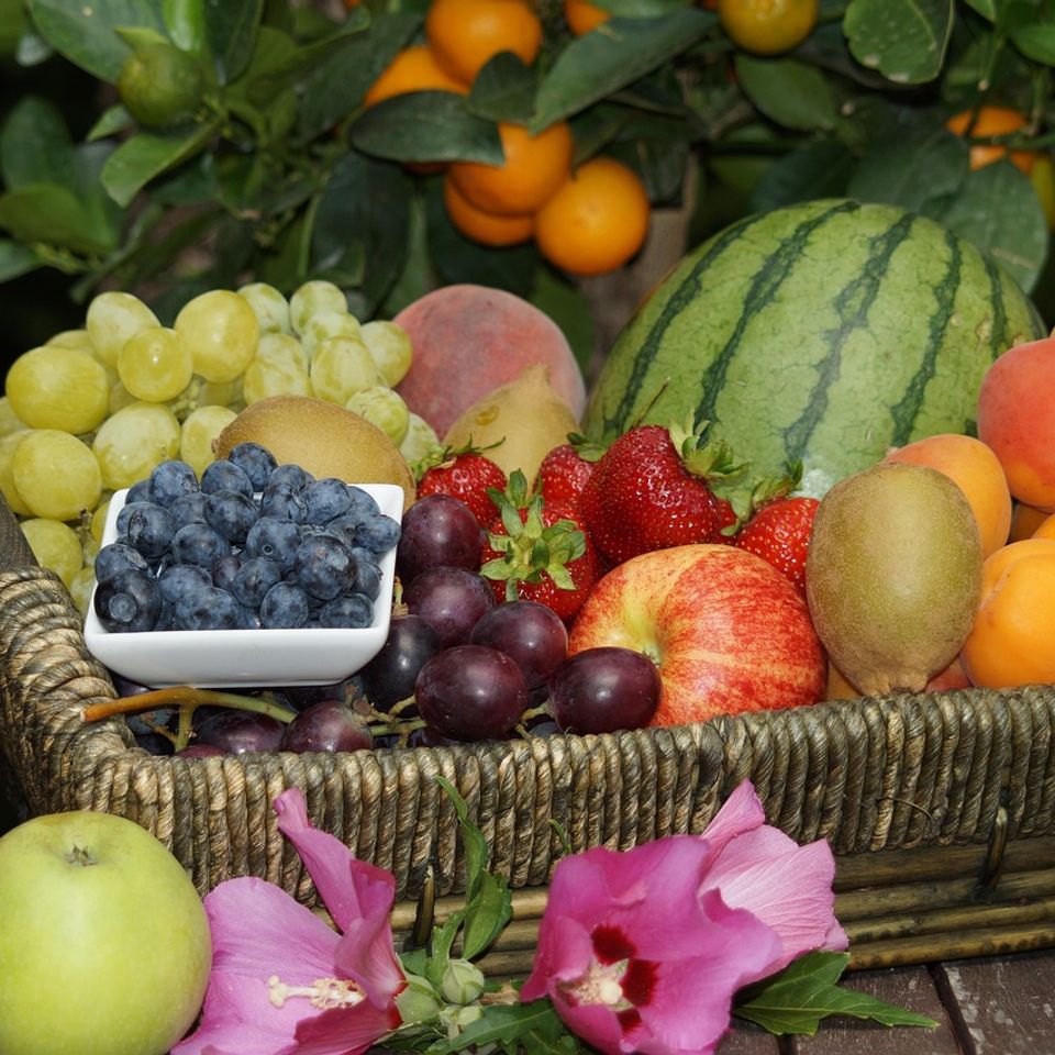 Woven basket filled with grapes, blueberries, strawberries, apples, peaches, apricots, and kiwis, placed outdoors with a watermelon and hibiscus flowers among fruit trees.” Fruit basket