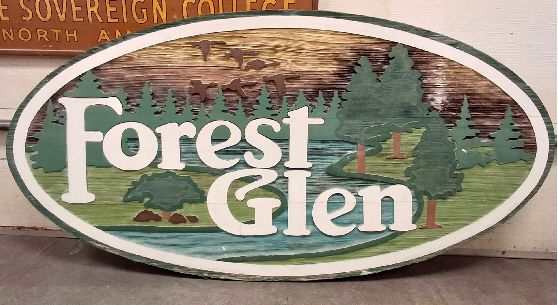 Old forest glen