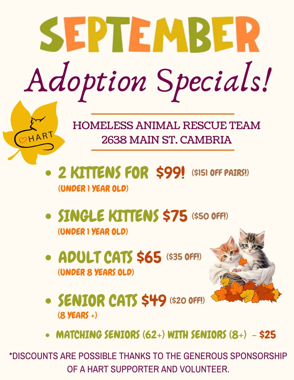 New new fall adoption specials (1)