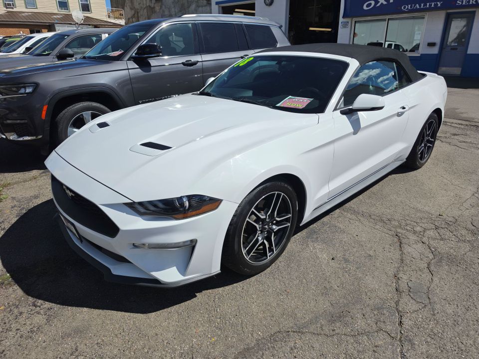 Mustang