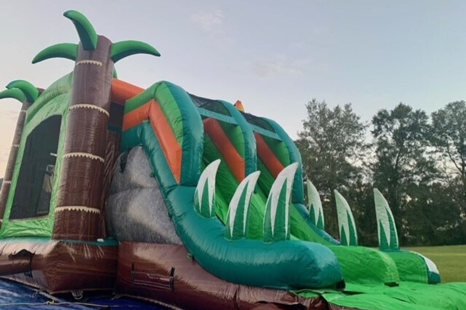 Dino Dive - Inflatable Rentals in Plant City, Lakeland, Valrico