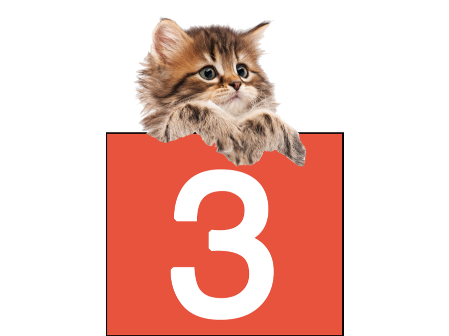 3 cat icons (Community)