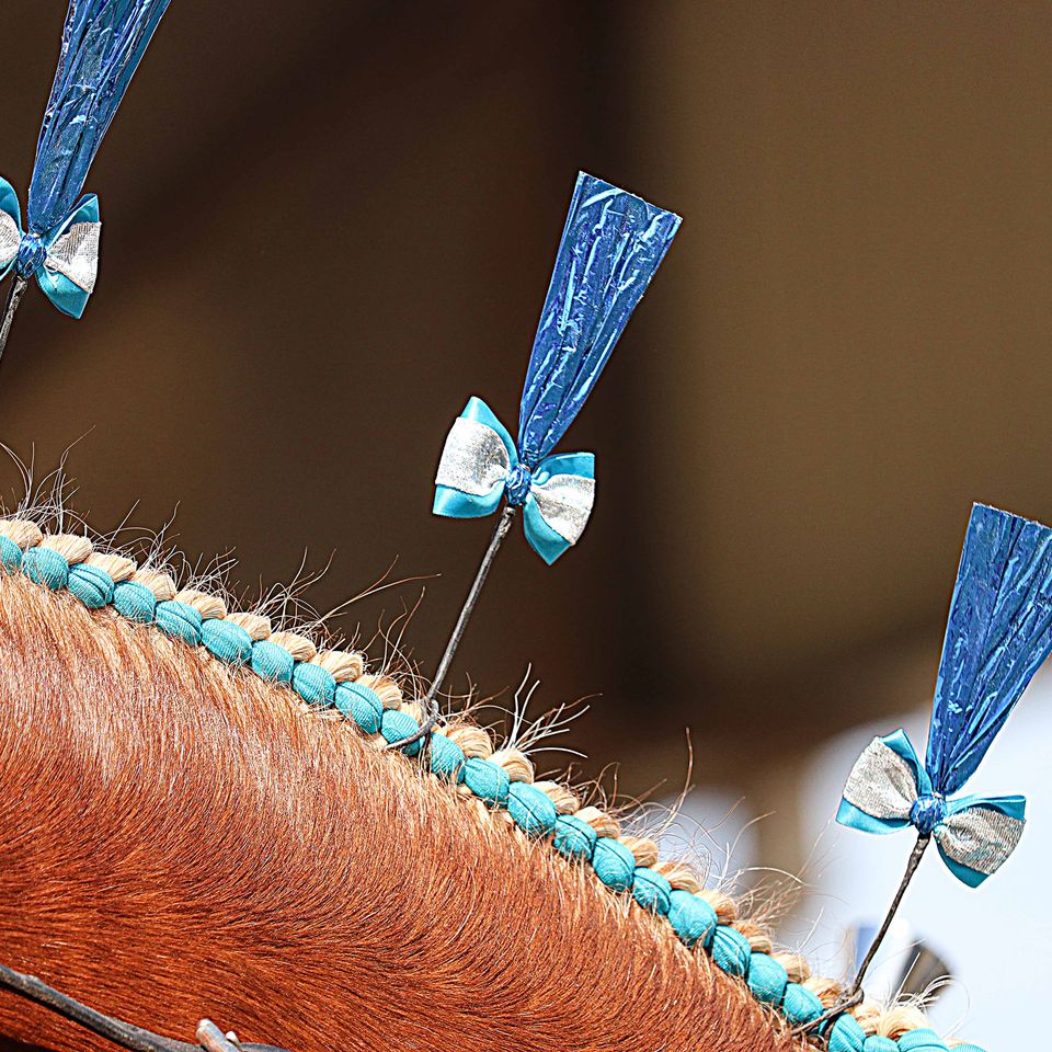 Draft horse jewelry