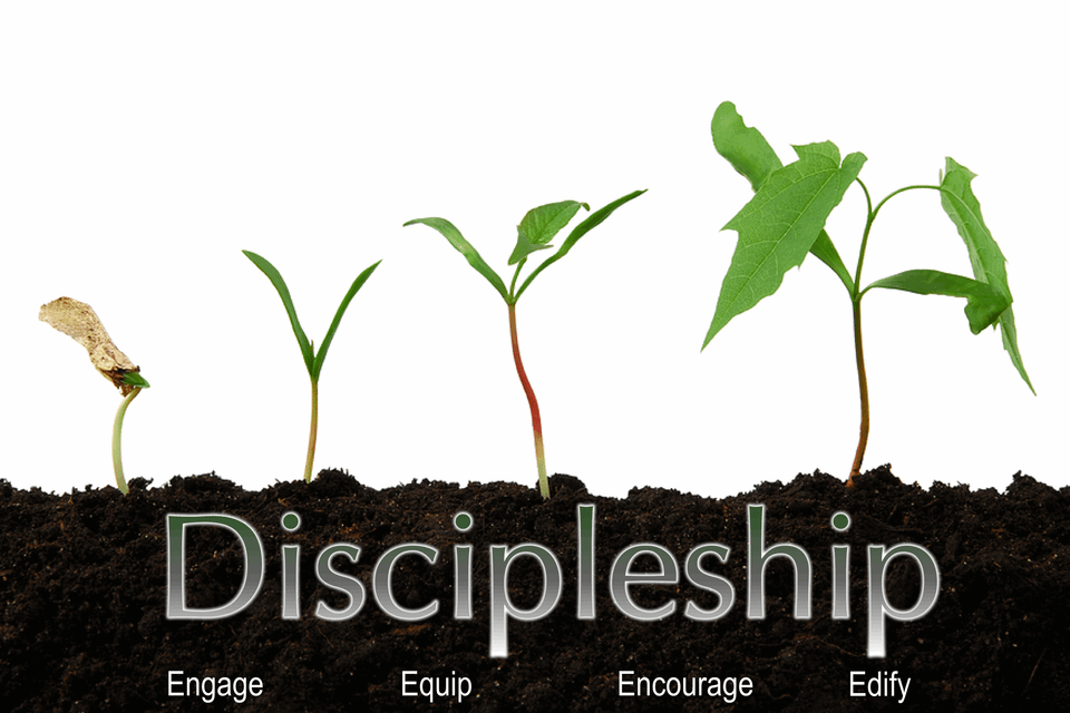 Disciple