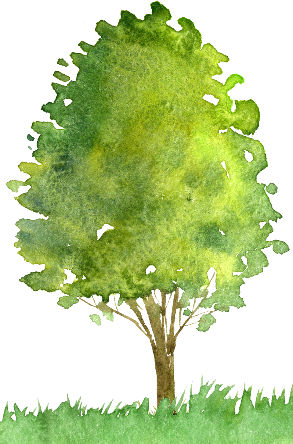 Tree logo