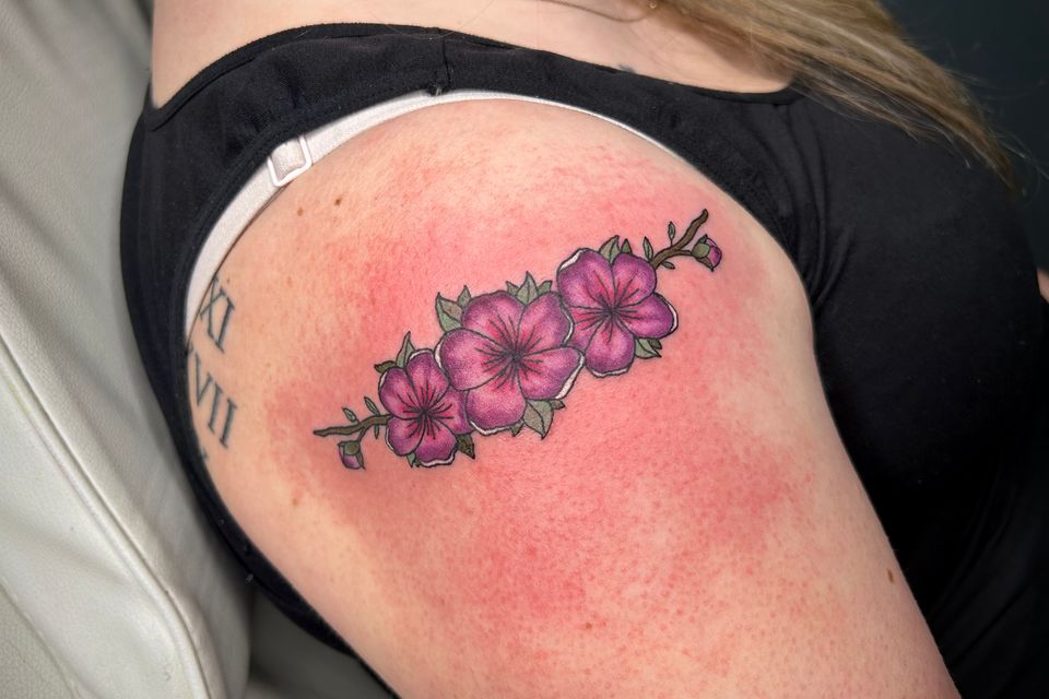 Img 0842