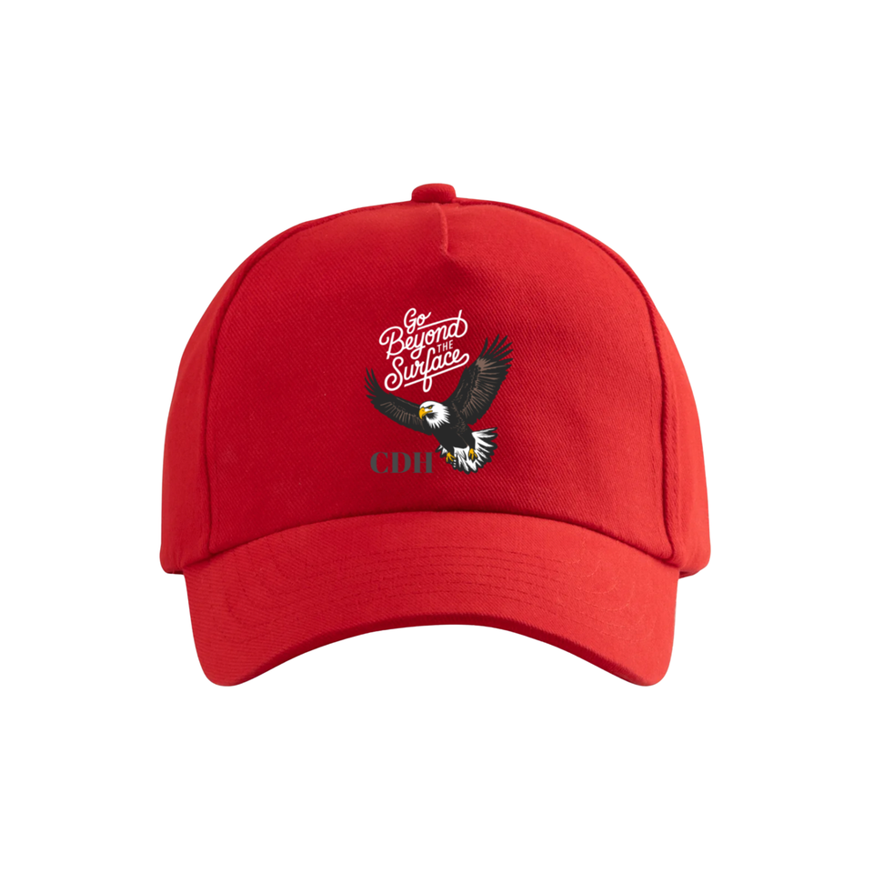 Eagles merch designs .zip   5