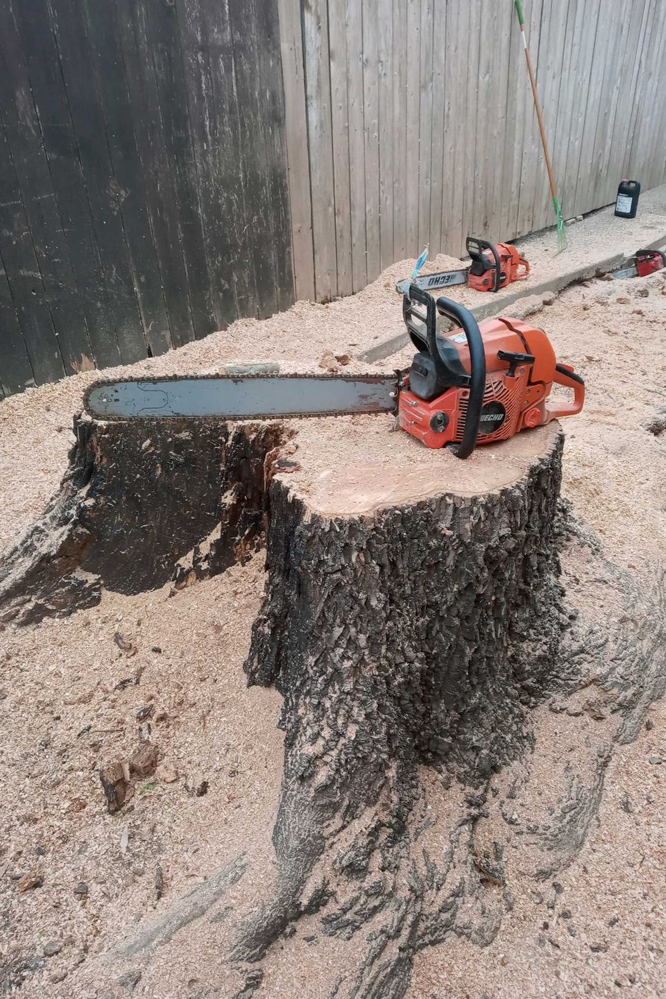 Stump grinding service in Marble Falls TX – tree stump being professionally removed