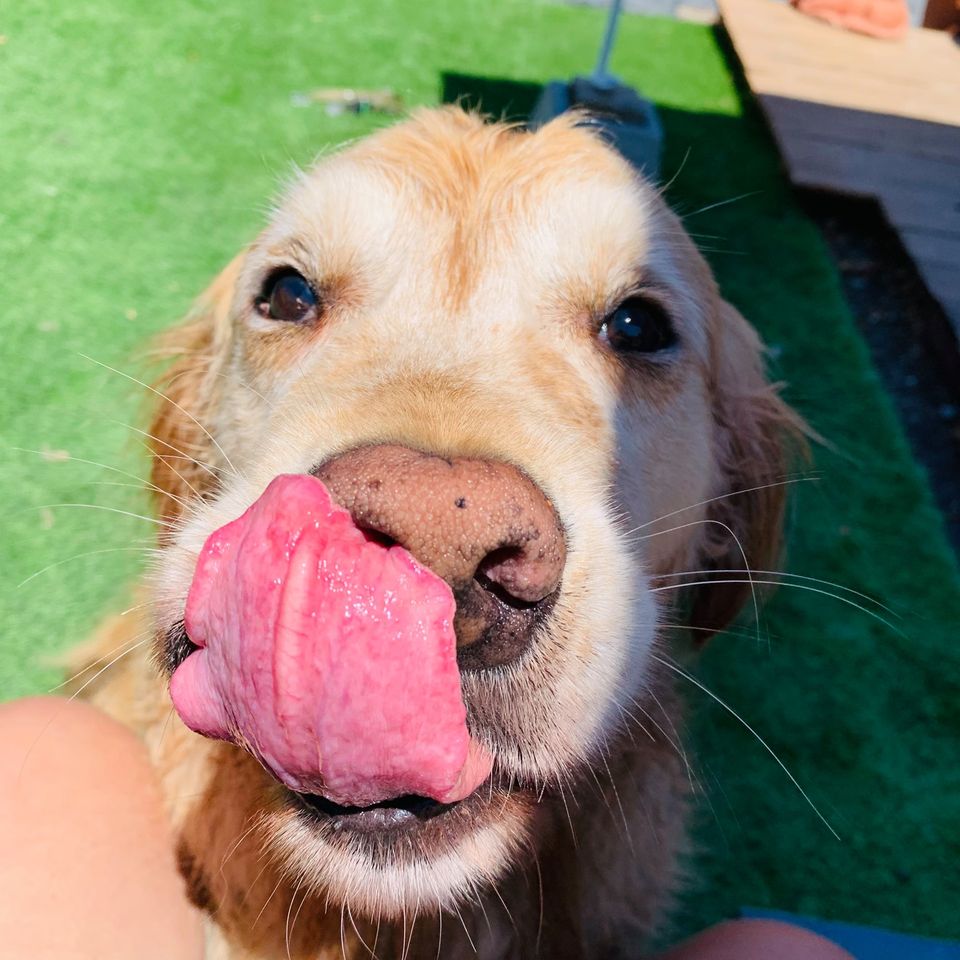 470565568 1016088113906120 6908560424541316857 n