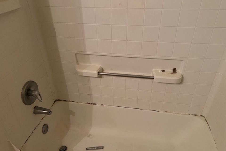 Img 3078