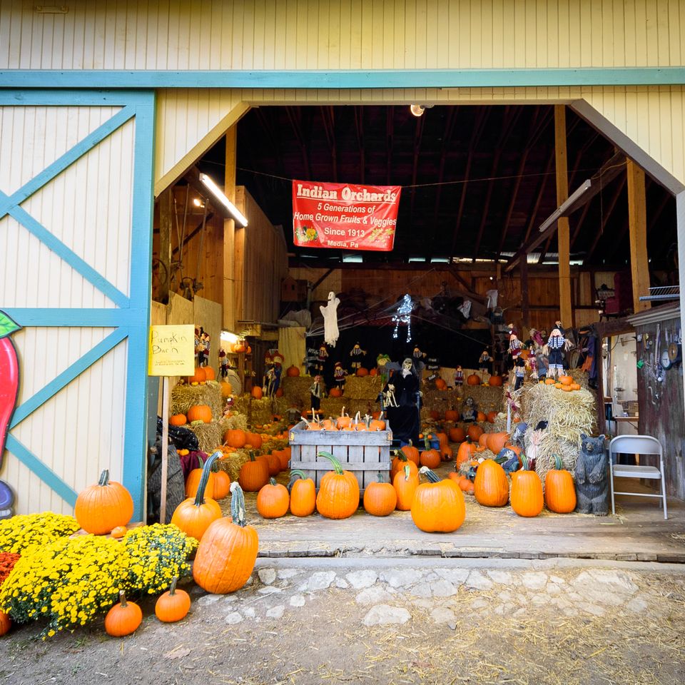 023 moskowphoto©2024