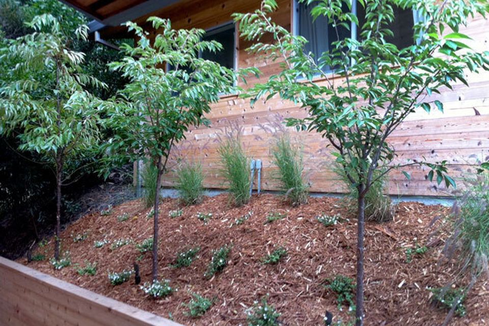 Sorcher residence 01