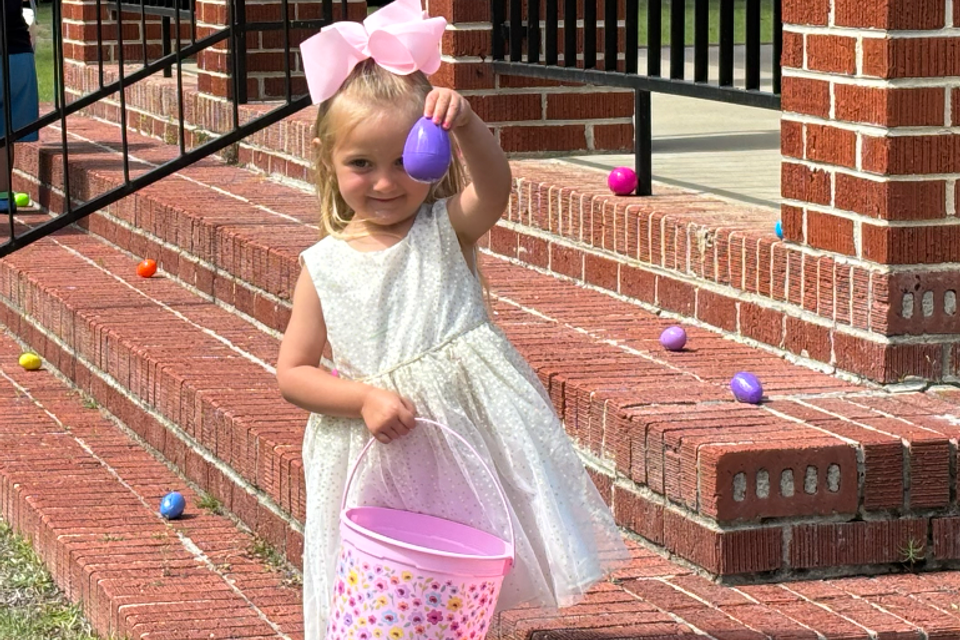 Screenshot 2026 01 31 at 10.29.00 am