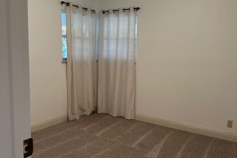 Img 0981