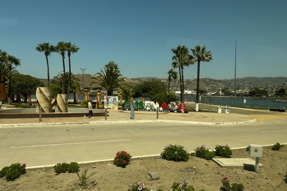 Img 1614