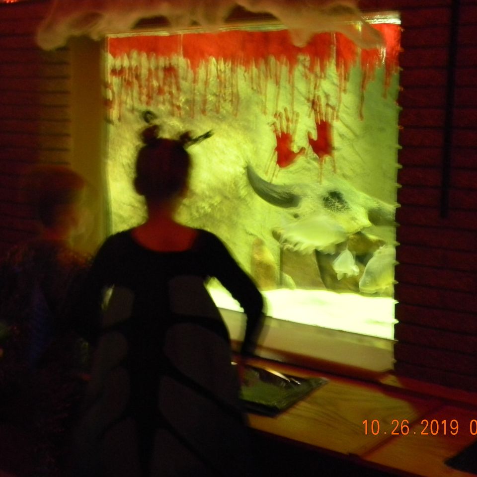 Dscn6395