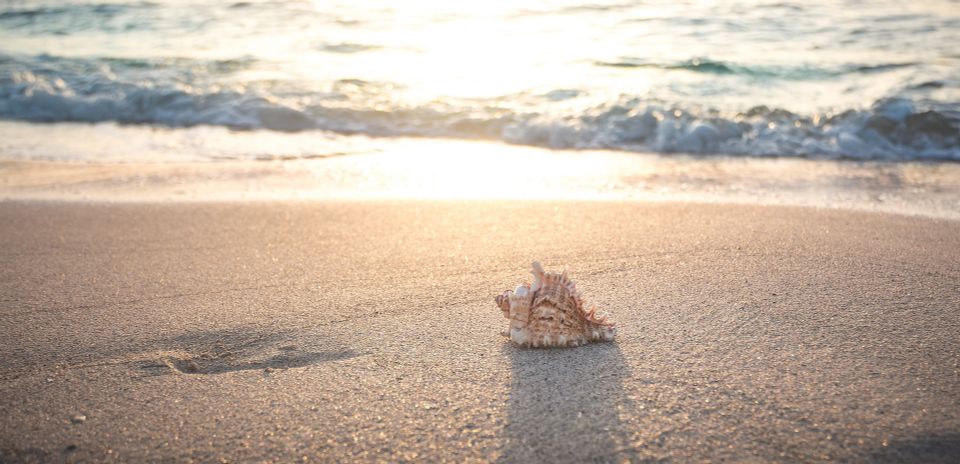 Beach g1147ecf45 1920