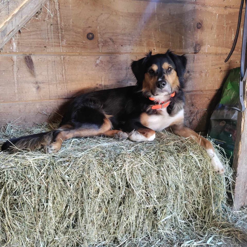 Received 1676726193166231