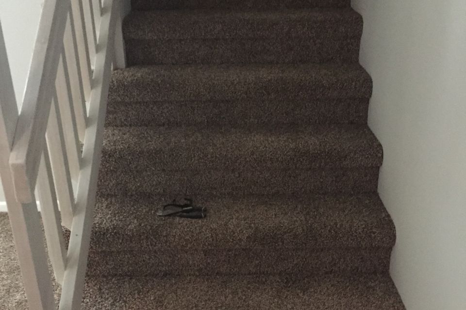 Img 0596