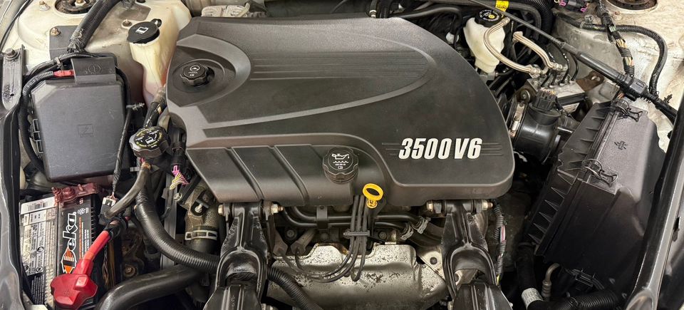 624438305 122207997644368687 3022587559104594564 n