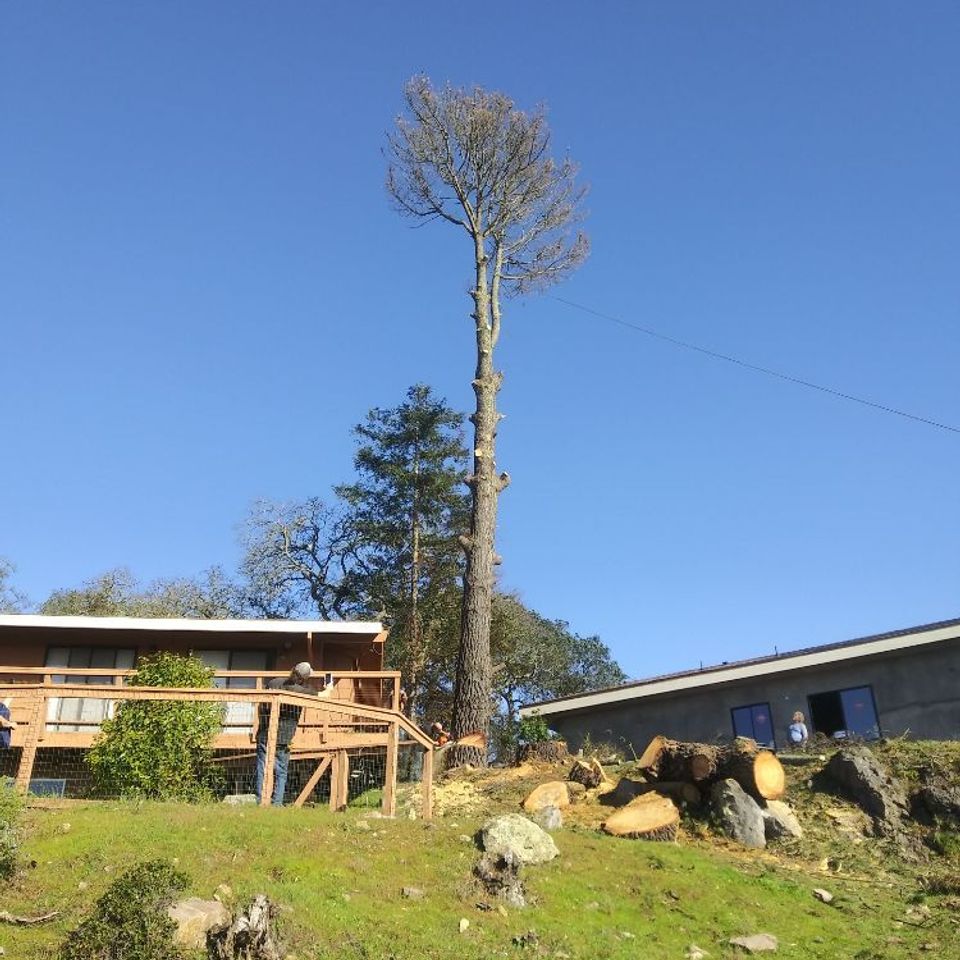 O   2024 04 17t154440.116