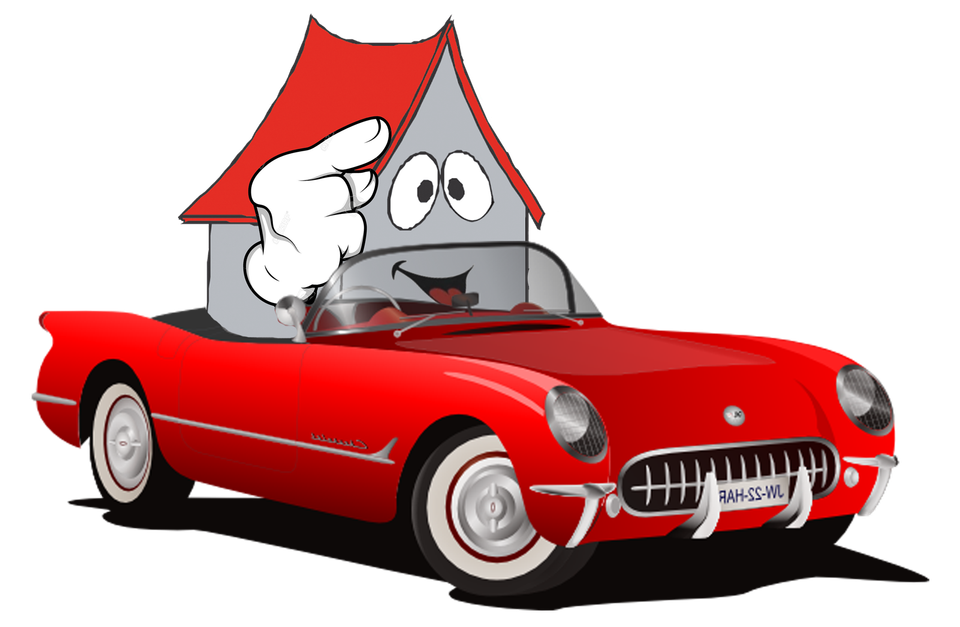 Smarty in car