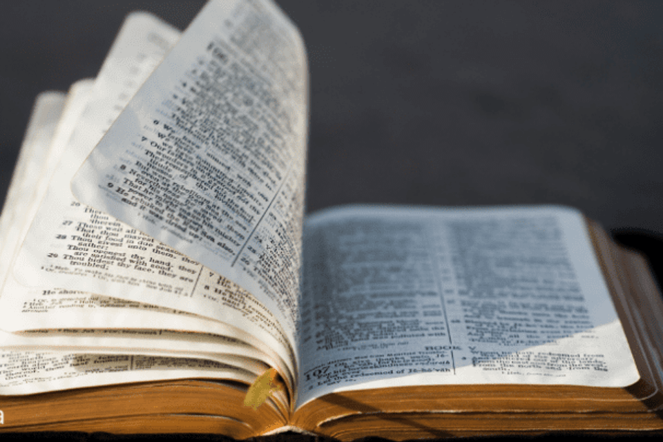 Bible.7