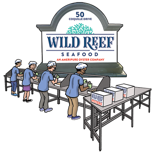 Wild reef 