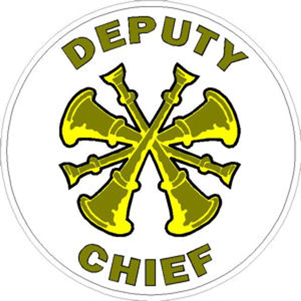 Deputy chief