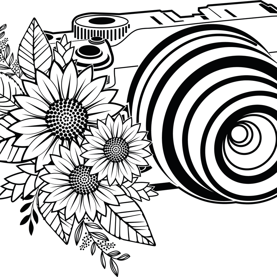 Profession   photographer camera 4 19