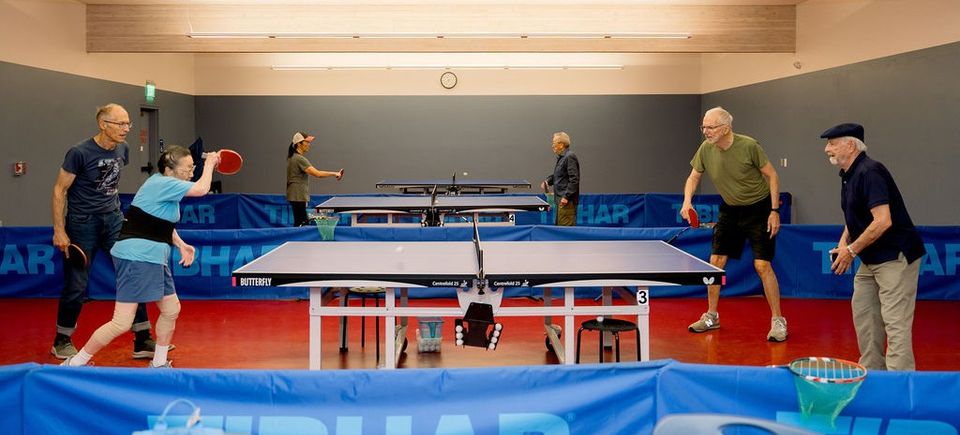 Table tennis 1