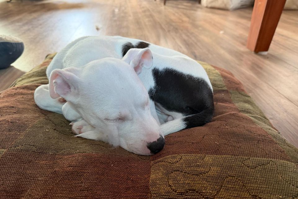 Whatsapp image 2026 03 11 at 12.14.49 pm