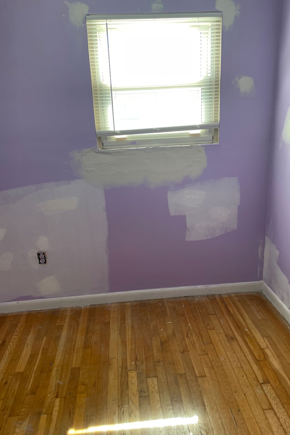 Img 1246