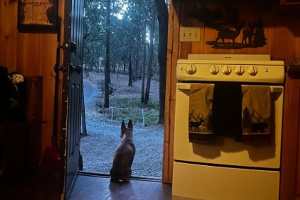 Screenshot 2026 02 18 130813