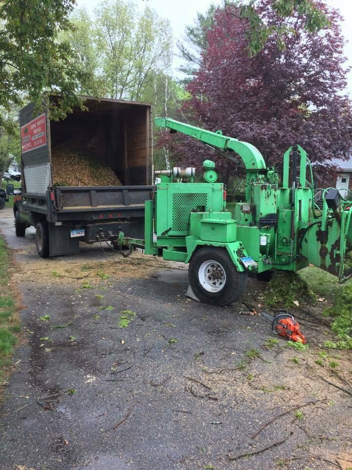 32256441 1733299563417508 4235224738999304192 n