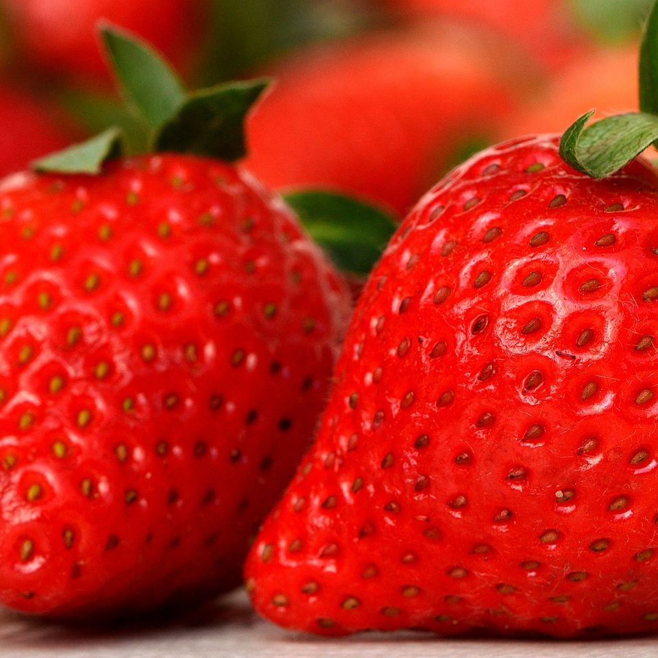 Strawberries g5dcda7a7a 1920