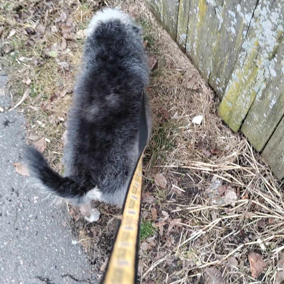 Received 428092636224682